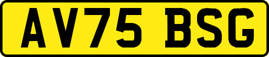 AV75BSG