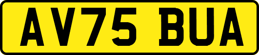 AV75BUA