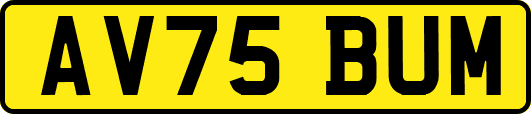 AV75BUM