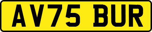 AV75BUR