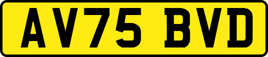 AV75BVD