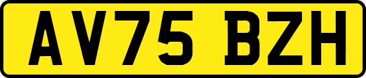 AV75BZH