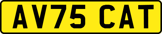 AV75CAT
