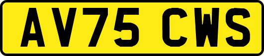AV75CWS
