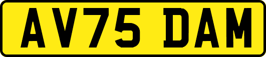 AV75DAM