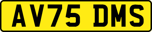 AV75DMS