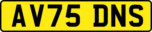 AV75DNS