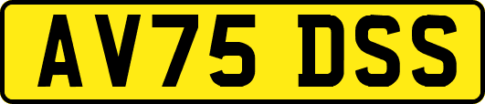 AV75DSS