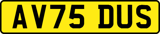 AV75DUS