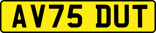 AV75DUT