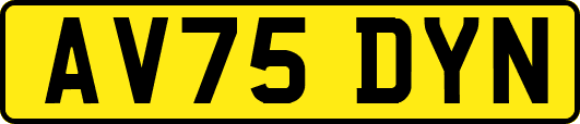 AV75DYN