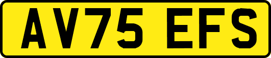AV75EFS