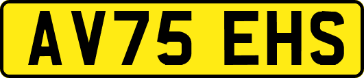 AV75EHS