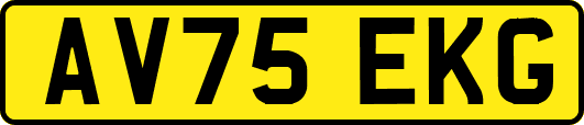 AV75EKG