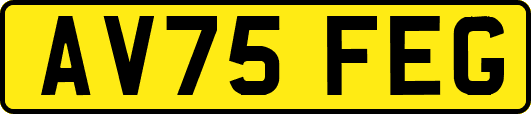 AV75FEG