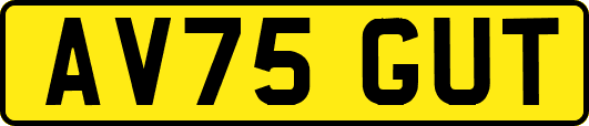 AV75GUT