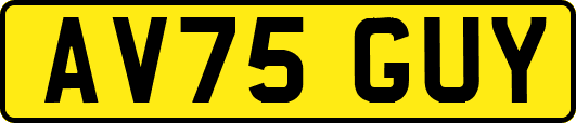 AV75GUY