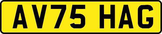 AV75HAG