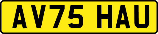 AV75HAU