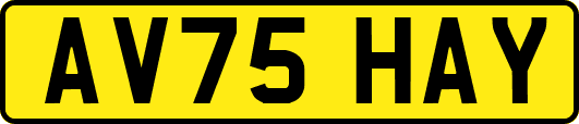 AV75HAY