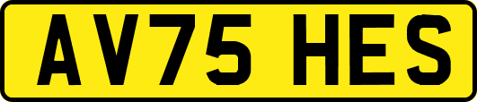 AV75HES