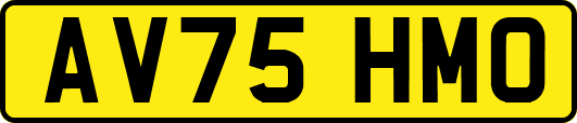 AV75HMO