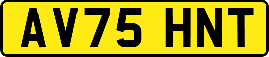 AV75HNT