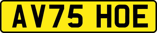 AV75HOE