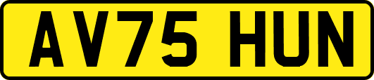 AV75HUN