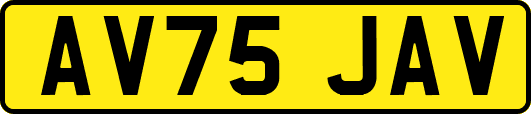 AV75JAV