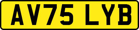 AV75LYB
