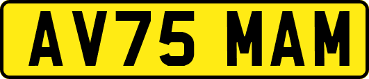 AV75MAM