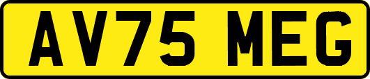 AV75MEG