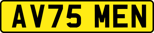 AV75MEN