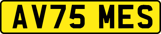 AV75MES