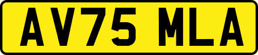 AV75MLA