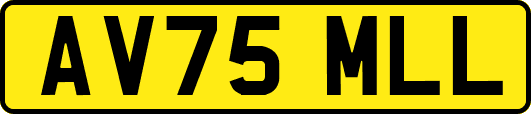 AV75MLL