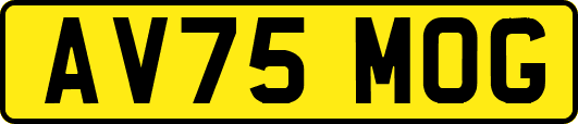 AV75MOG