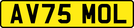 AV75MOL