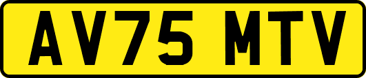 AV75MTV