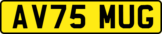 AV75MUG