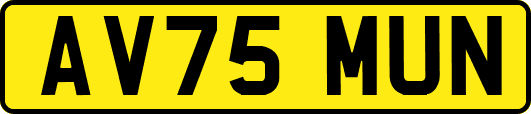 AV75MUN