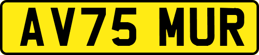 AV75MUR
