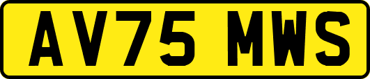 AV75MWS