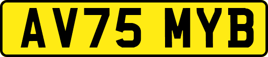 AV75MYB