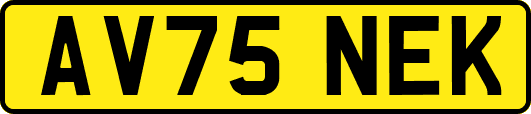AV75NEK