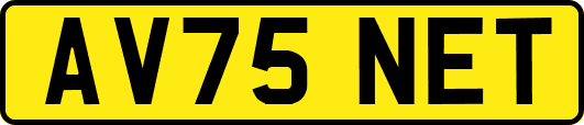 AV75NET