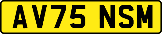 AV75NSM