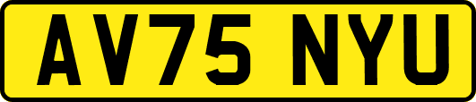 AV75NYU