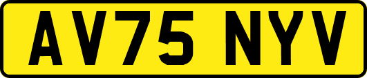 AV75NYV